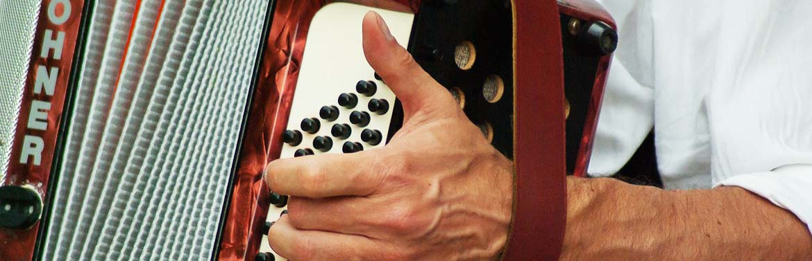 Accordéoniste en Isère (38)