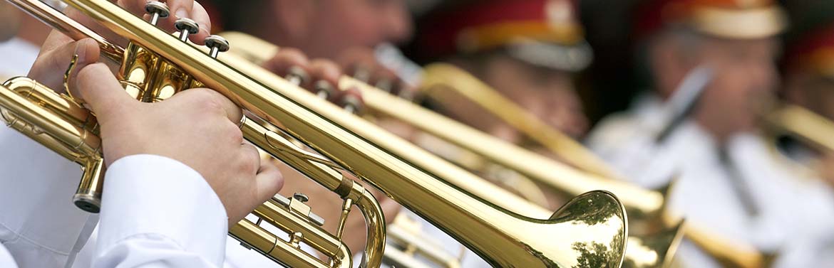 Fanfare dans le Vaucluse (84)
